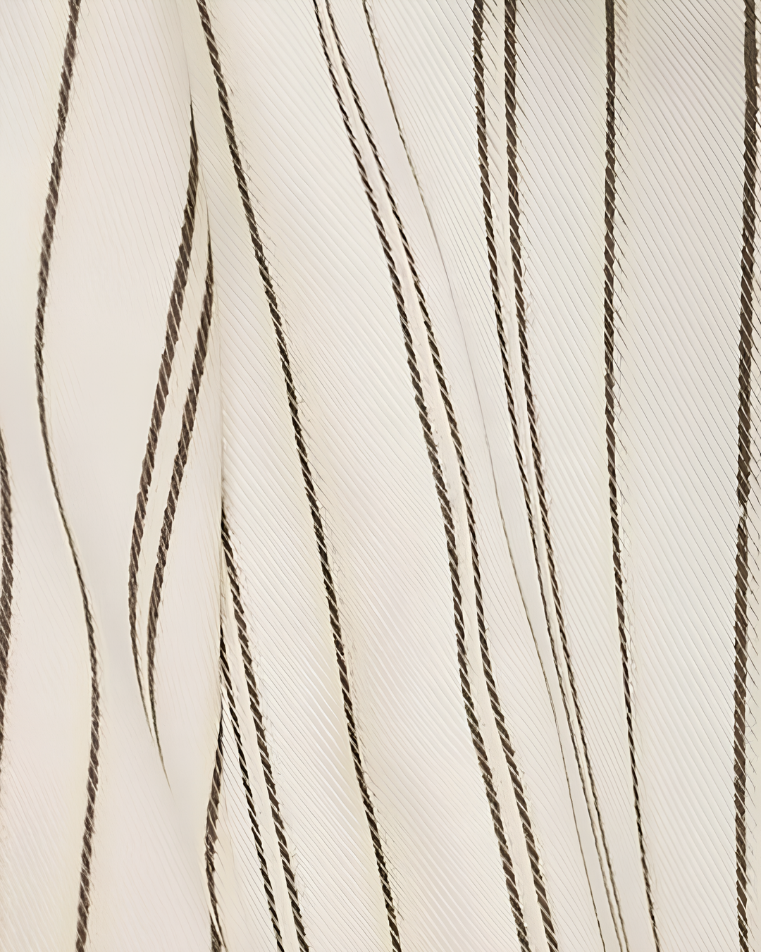 ショートテイルストライプトップス Mc 628